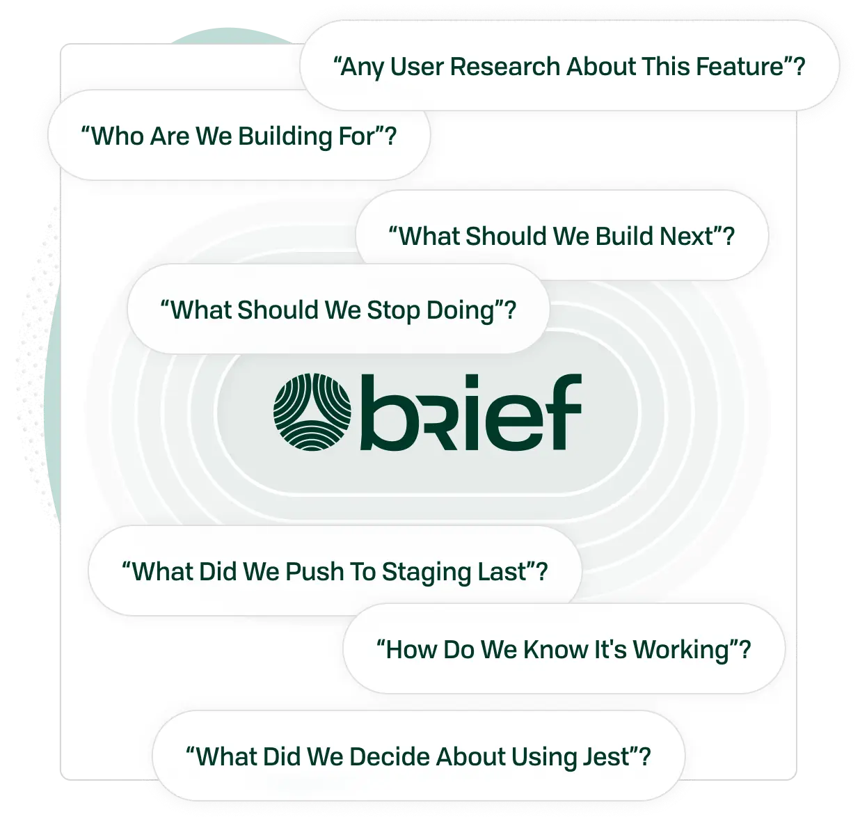 Brief