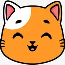 Coverage Cat