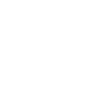Digital Anki