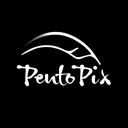 PentoPix